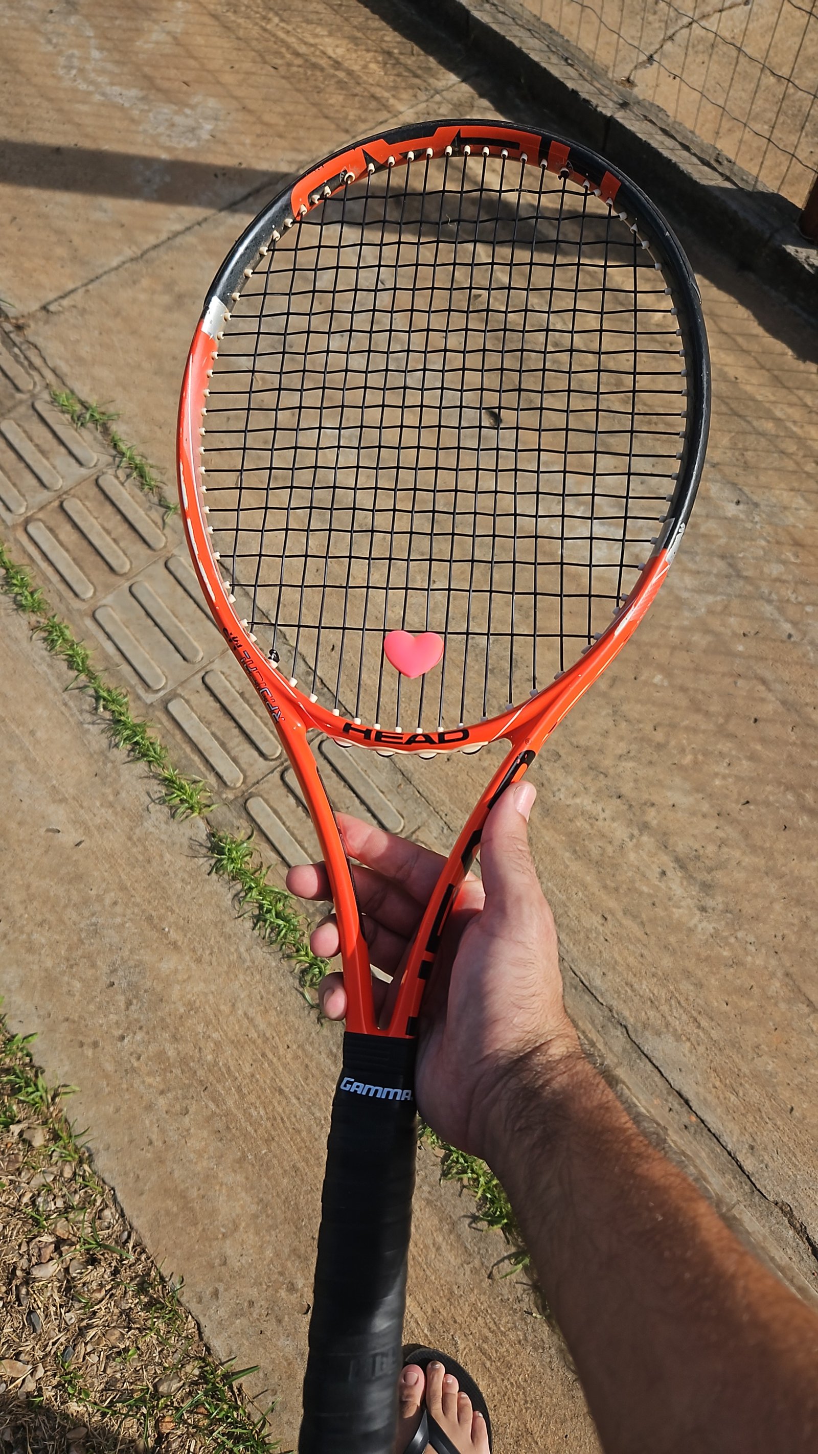 Angelica Gonçalves Pereira