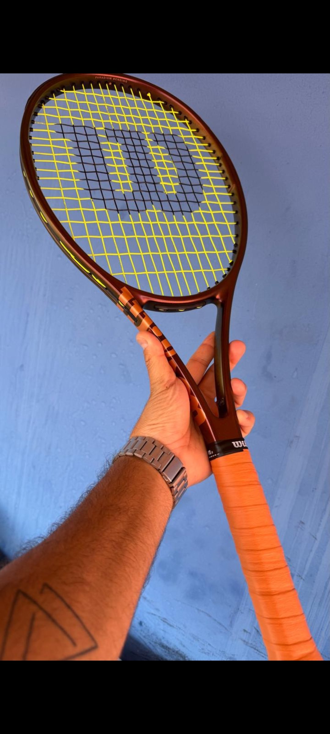 Pedro Guimarães Lage 